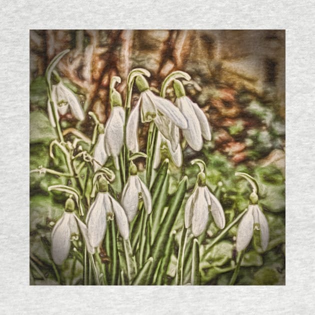 Snowdrops by avrilharris